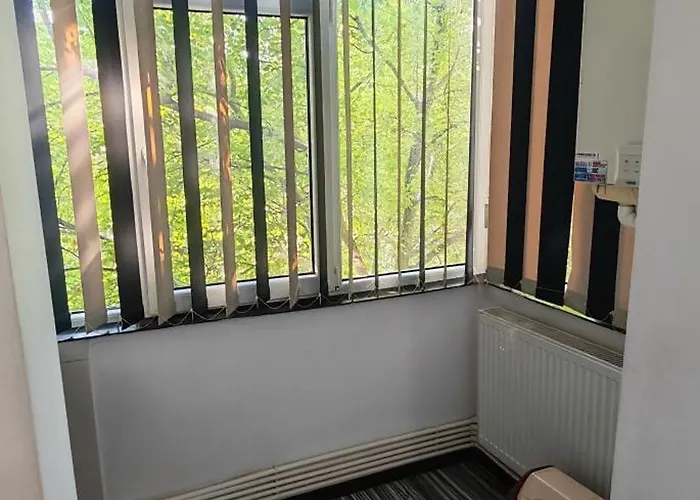 Sophia コンスタンツァ